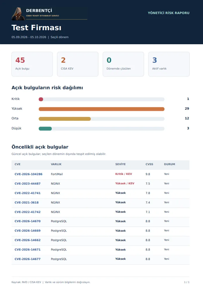 Risk dağılımını ve öncelikli bulguları gösteren PDF rapor örneği